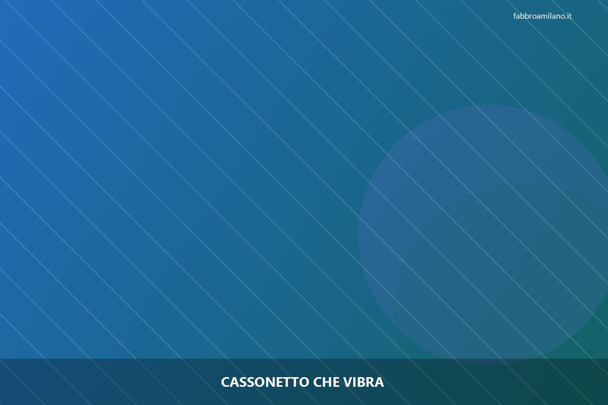Cassonetto che vibra a Milano — riparazione | Flavio, serramentista