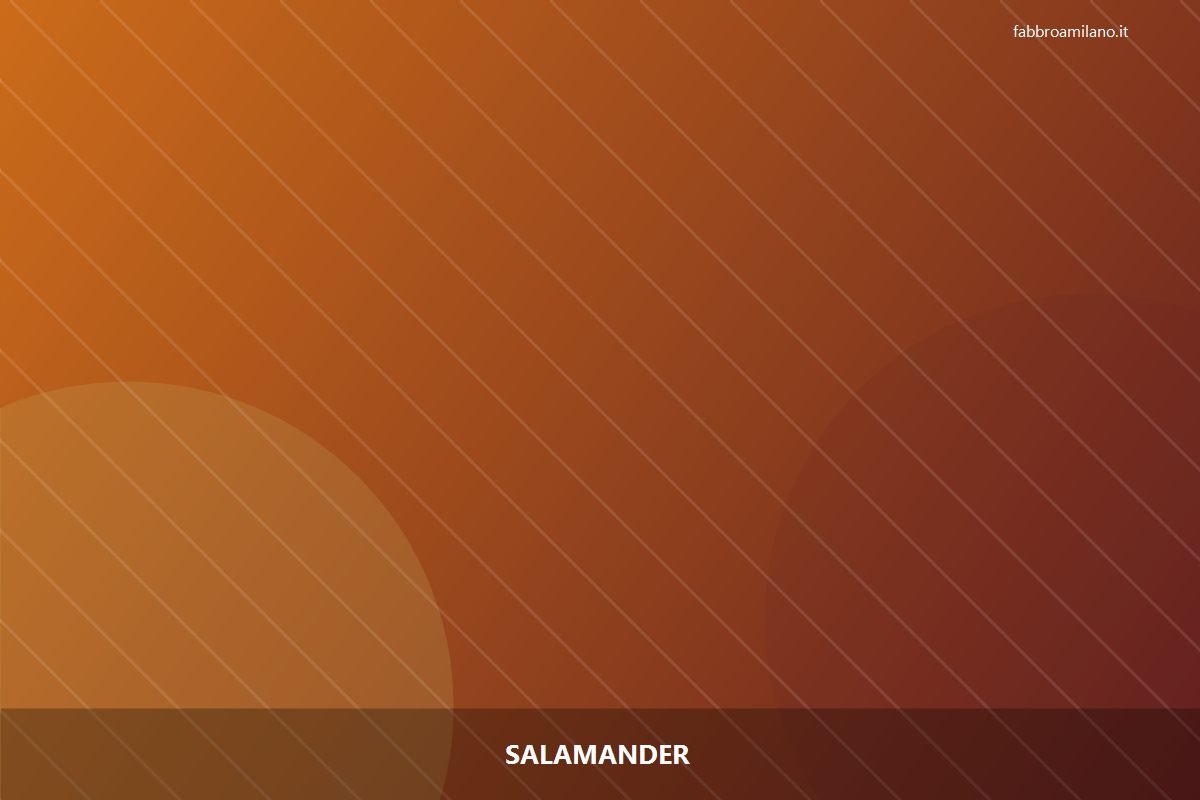 Salamander