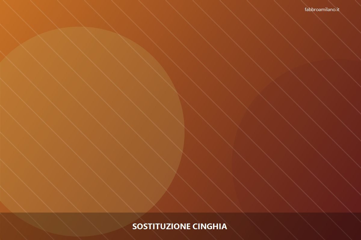 Sostituzione cinghia a Milano | Flavio, serramentista